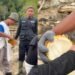 Kagum Melihat Ketegaran Warga Aceh usai Bencana, Pendakwah Salim A Fillah Sampai Terharu
