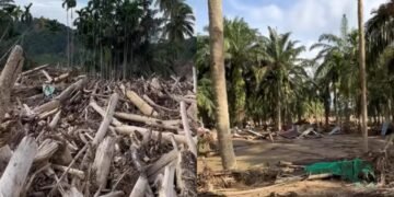 Video Anak-Anak Desa Pengidam Aceh Tamiang Nyanyi Lagu Tor Monitor Ketua