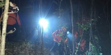 BNPB Catat Karhutla di Sejumlah Daerah, Puluhan Ribu Warga Terdampak Kekeringan