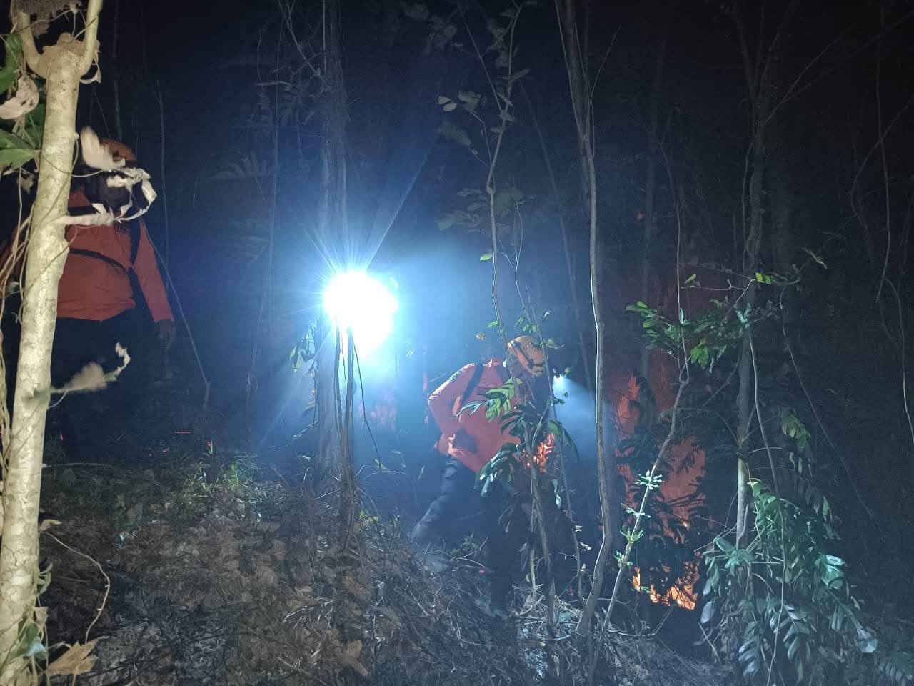 BNPB Catat Karhutla di Sejumlah Daerah, Puluhan Ribu Warga Terdampak Kekeringan