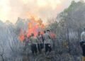 Polri Tetapkan 72 Tersangka Kebakaran Hutan dan Lahan di Sembilan Provinsi