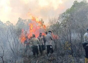 Polri Tetapkan 72 Tersangka Kebakaran Hutan dan Lahan di Sembilan Provinsi
