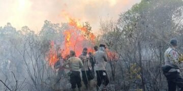 Polri Tetapkan 72 Tersangka Kebakaran Hutan dan Lahan di Sembilan Provinsi