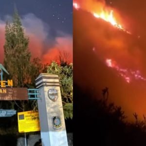 Foto: PRONUSANTARA