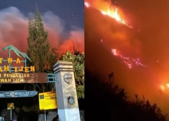 Foto: PRONUSANTARA