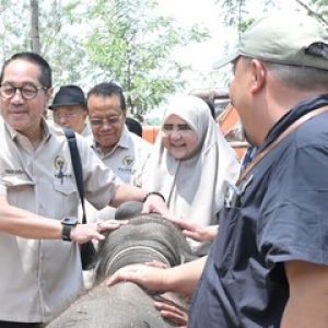 Detik