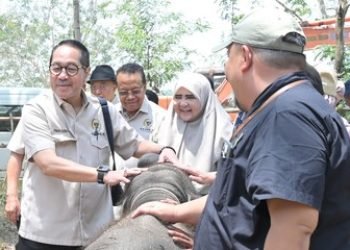 Detik