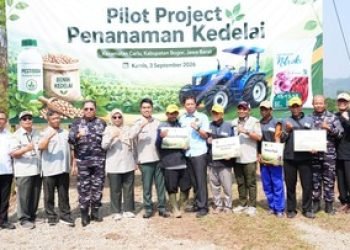 Foto: Detik