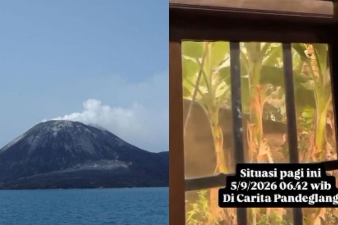 sumber Pronusantara.com
