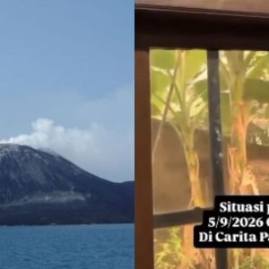 sumber Pronusantara.com