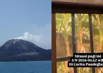 sumber Pronusantara.com