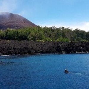 sumber Detik.com