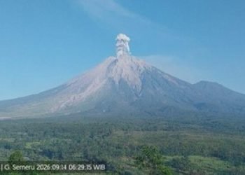 Sumber Detik.com