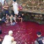 Sumber Detik.com