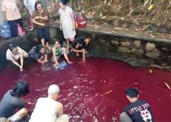 Sumber Detik.com