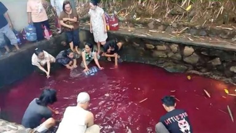 Sumber Detik.com
