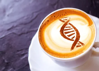 Foto: ScienceDaily