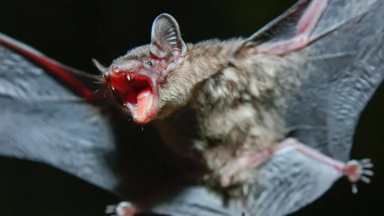 Sumber ScienceDaily