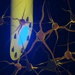 Sumber ScienceDaily
