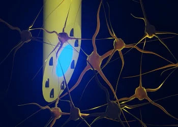 Sumber ScienceDaily