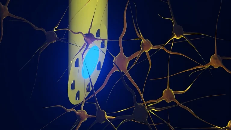 Sumber ScienceDaily