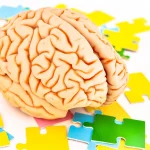 Sumber ScienceDaily