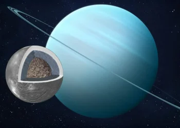 Sumber ScienceDaily