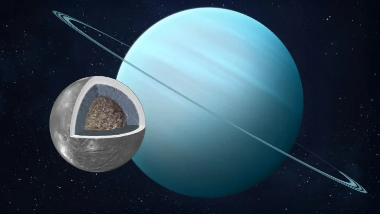 Sumber ScienceDaily