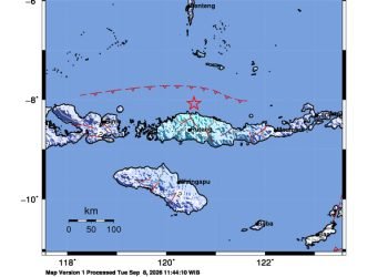 Peta guncangan (shakemap): BMKG