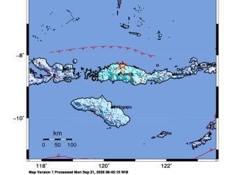 Peta guncangan (shakemap): BMKG
