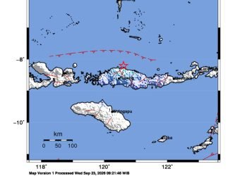 Peta guncangan (shakemap): BMKG