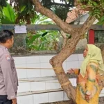 Sumber Detikcom
