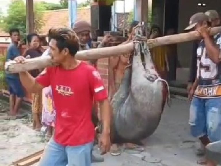 Sumber Detikcom