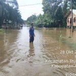 Sumber Detikcom