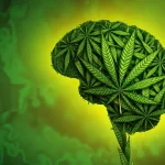 Sumber ScienceDaily