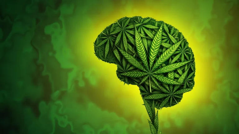 Sumber ScienceDaily