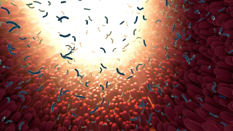Sumber ScienceDaily