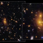 Sumber ScienceDaily