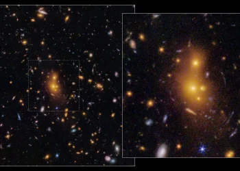 Sumber ScienceDaily