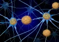 Sumber ScienceDaily