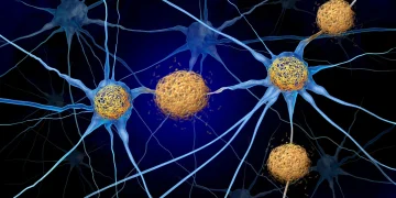 Sumber ScienceDaily