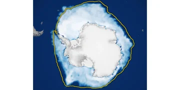 Sumber ScienceDaily
