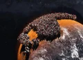 Sumber ScienceDaily