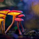Sumber ScienceDaily