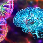 Sumber ScienceDaily