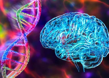 Sumber ScienceDaily