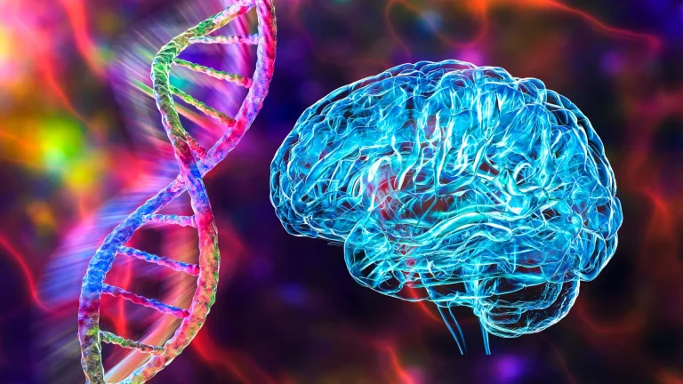 Sumber ScienceDaily