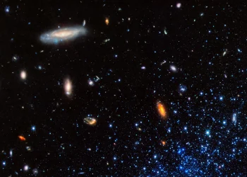 Sumber ScienceDaily