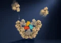 Sumber ScienceDaily