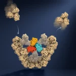 Sumber ScienceDaily